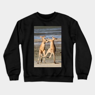 Boxing Kangaroos, Toorbul, Queensland Crewneck Sweatshirt